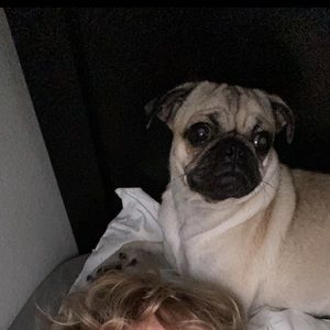 Meet your Posher, Dylan